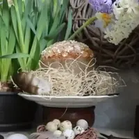 Итальянский панеттоне