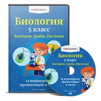 Биология 5 класс. Бактерии. Грибы. Растения