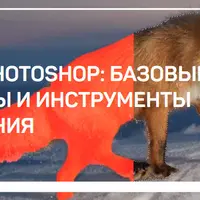 Adobe Photoshop: Базовые команды и инструменты выделения