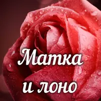 Матка и лоно