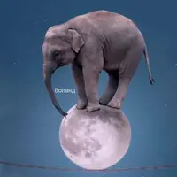 Новый Мир. Формат W5