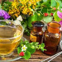 Народная медицина. Правильное составление и подбор травяных сборов