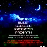 Dream-Sleep-Success-Progress Program — СТАРТАП-1.Стержень