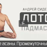 Практика йоги с профессионалом