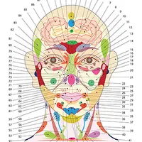 Диагностика по проекционным зонам на теле человека