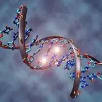 Ген богатства