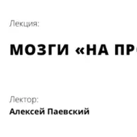 Мозги на прокачку