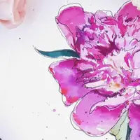 От скетча к ботанике