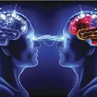 Эволюция мозга