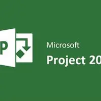 Microsoft Project Professional 2016. Управление проектами
