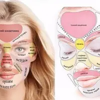 Диагностика по внешним признакам. Вебинар №1