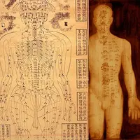 Особенности иглотерапии на ушной раковине