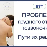 Грудной отдел позвоночника