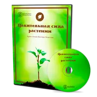 Целительная сила растений