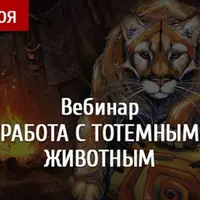 Работа с тотемным животным