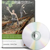 Анатомические поезда в движении