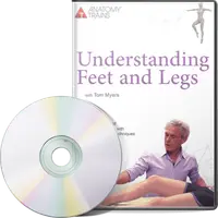 Понимание ног