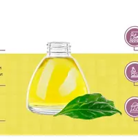 Базовые масла в косметологии