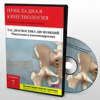 Визуальные критерии дисфункций тазового региона