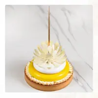 Мастер-класс 2018