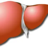 Коррекция печени