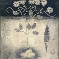 Ботаническая иллюстрация