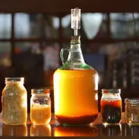 Искусство ферментирования