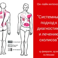 Системный подход к лечению сколиоза