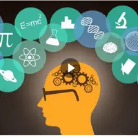 Погружение по английскому языку