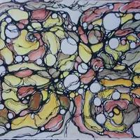 Нейрокосметика. Код женской красоты