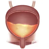 Коррекция мочевого пузыря