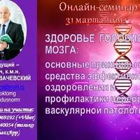 Здоровье головного мозга