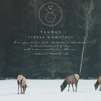 Графика в стиле: Знаки зодиака и созвездия