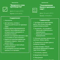 Создание орехоплодного сада