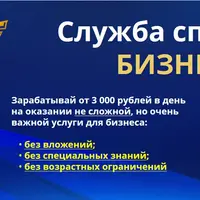 Служба спасения бизнеса