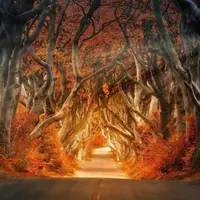 Осознанность: Фаза 3