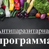 Антикандидная программа + Антипаразитарная программа