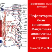 Рефлекторные боли в пояснице