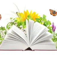 Литературное чтение в начальной школе