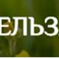 Сезонная аллергия: подход к выздоровлению