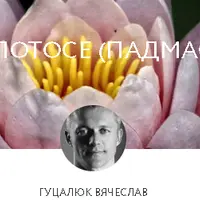 Всё о лотосе (Падмасане)