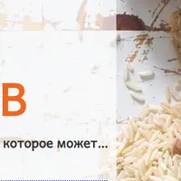 Секреты углеводов