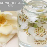 Растения в косметике. Активы своими руками