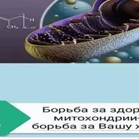 Митохондриальное здоровье
