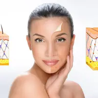 Интегративный взгляд на коллаген