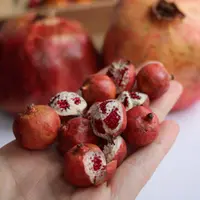 Гранат целый + в разрезе