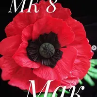 Пластичный шоколад