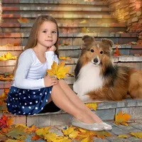 Осенний фотомонтаж m621