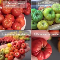 Курс по помидоркам из полимерной глины