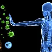 Иммунитет глазами физиолога